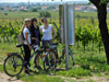 WeinWeg 6